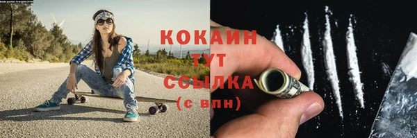 дмт Абаза