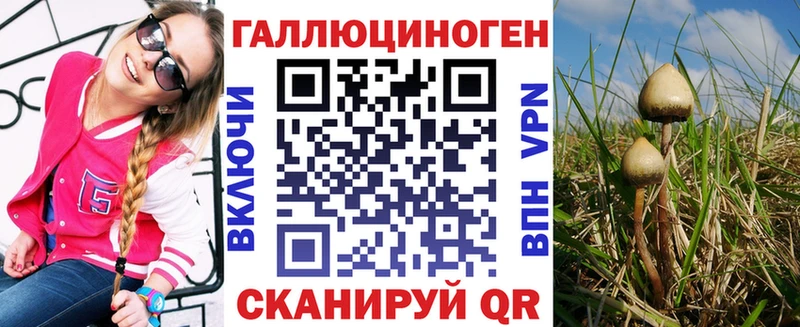 что такое   Энем  Галлюциногенные грибы мицелий 
